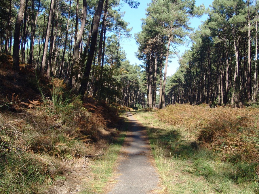 piste cyclable Au Logis des Becs Fins Gîtes dans les Landes